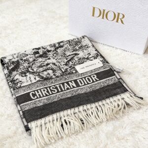 DIOR Toile Forest Pattern Cashmere Wool Scarf